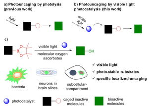 上海有机所在活细胞内光催化生物相容反应研究中取得重要进展