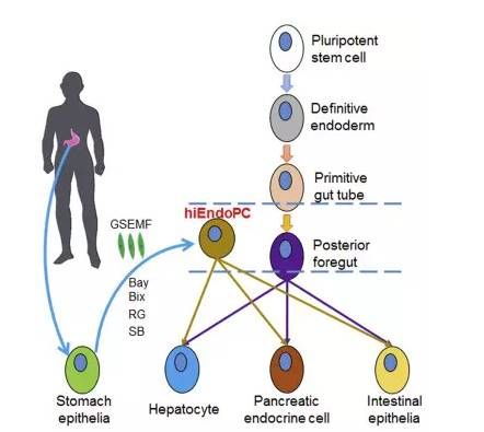 年**终盘点 | 2016年国内不容错过的重磅生物研究**